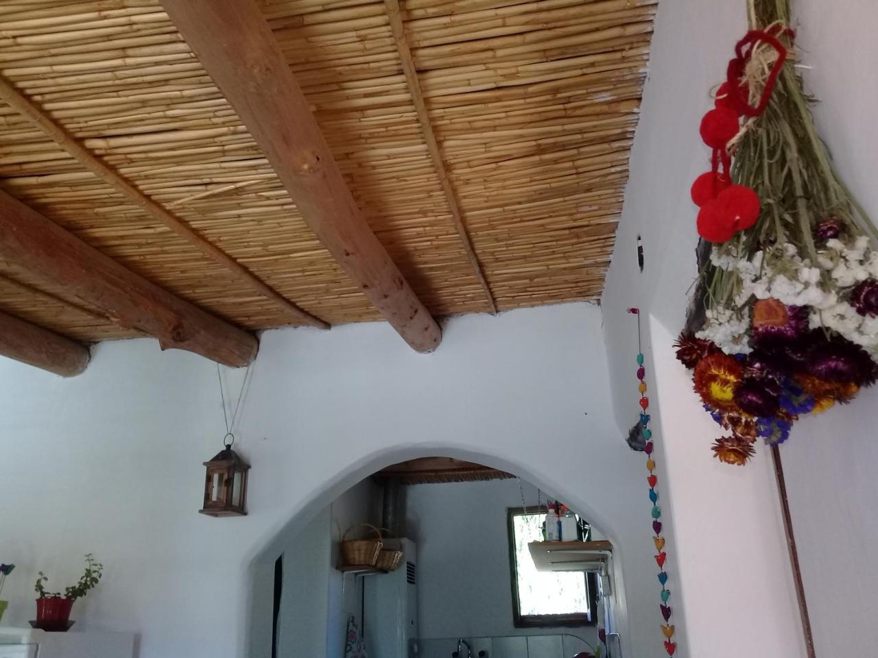 Cabaña El Cardón, pleno campo,a 800 mt del centro Humahuaca Exterior foto